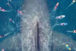 The Meg 2018